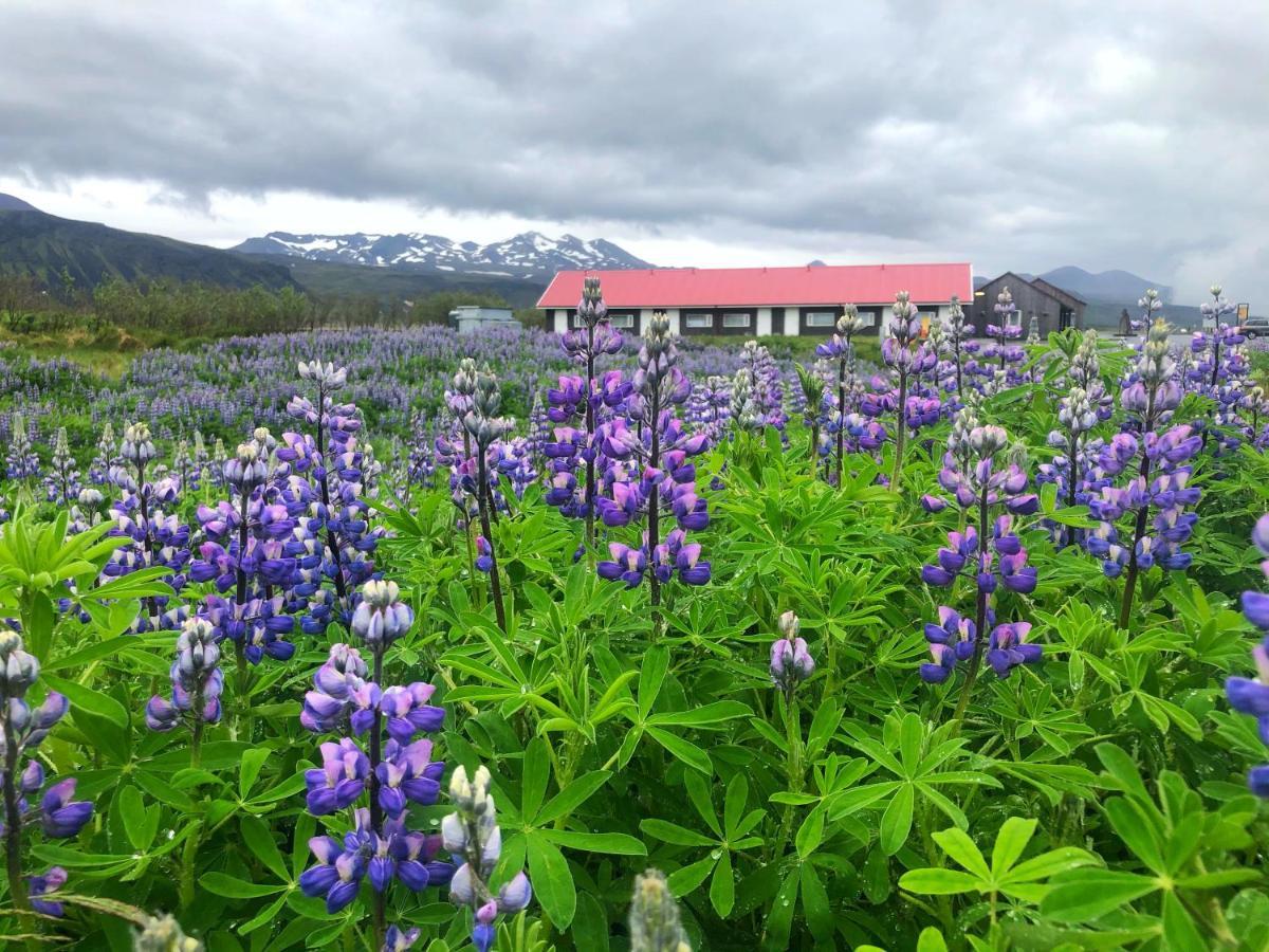 Hotel Snaefellsnes Formally Hotel Rjukandi Vegamot Экстерьер фото